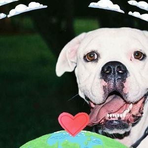 Meet your Posher, Marla